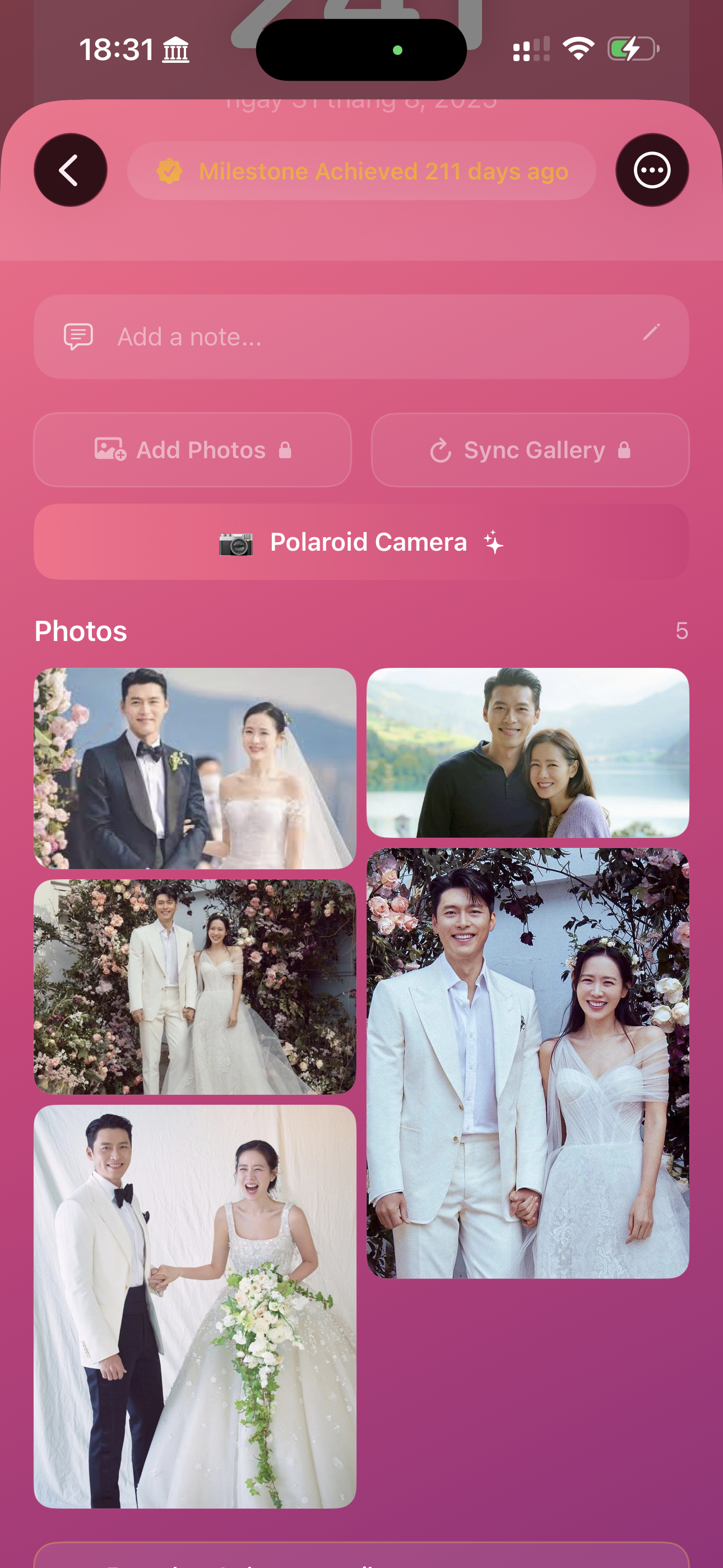 LoveTik: Love Counter - Milestone List